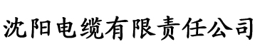 口爱的技巧视频教学电缆厂logo